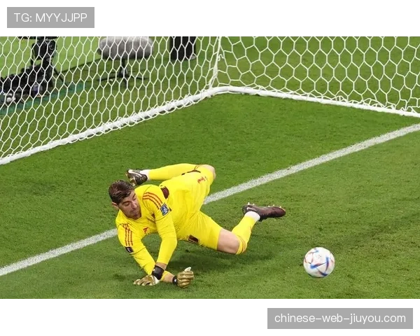 VAR录音曝光：库尔图瓦踩踏布迪米尔点球改判全过程